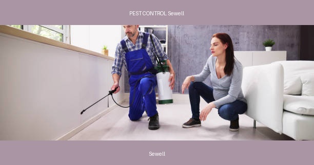 PEST CONTROL Sewell